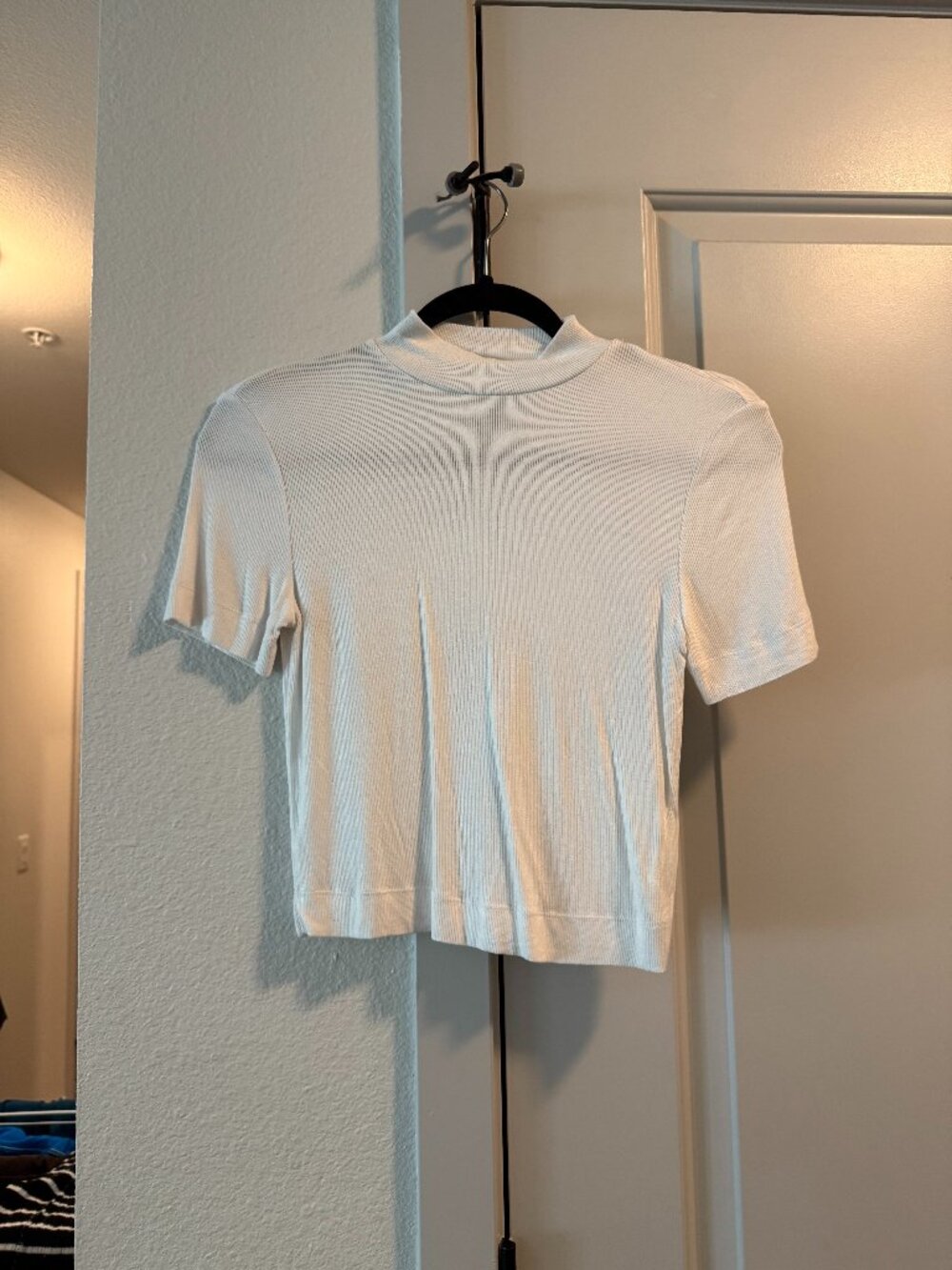 Aritzia Gonzolo T Shirt